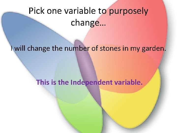 Pick one variable to purposely change… I will change the number of stones in