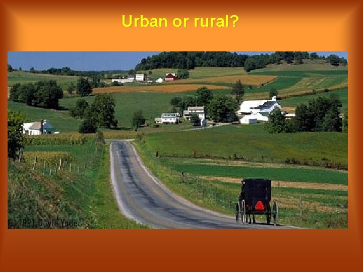Urban or rural? 
