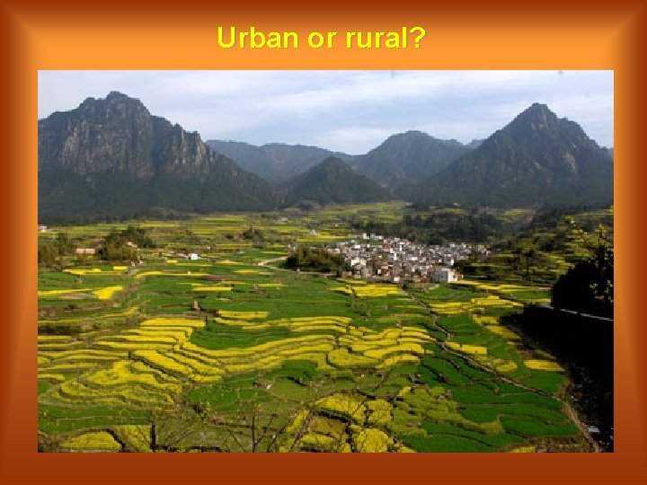 Urban or rural? 