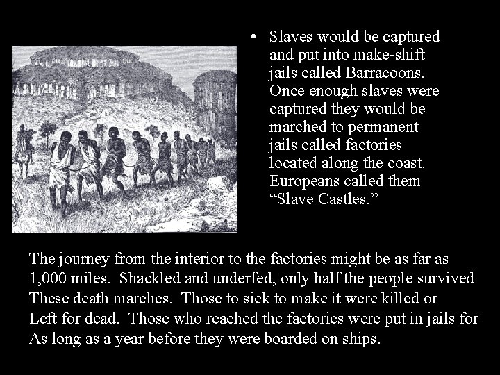  • Slaves would be captured and put into make-shift jails called Barracoons. Once