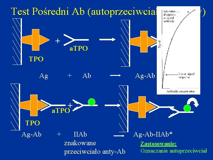 Test Pośredni Ab (autoprzeciwciała tarczycy) + a. TPO Ag + Ab Ag-Ab + a.