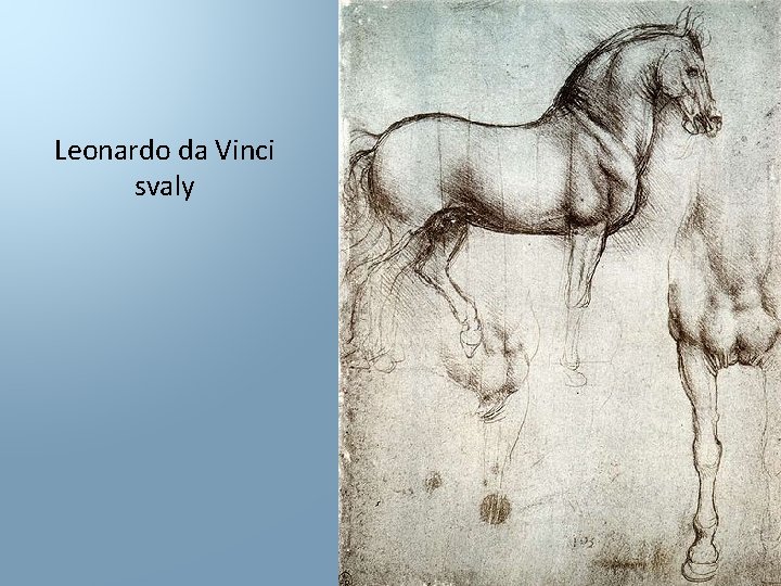 Leonardo da Vinci svaly 