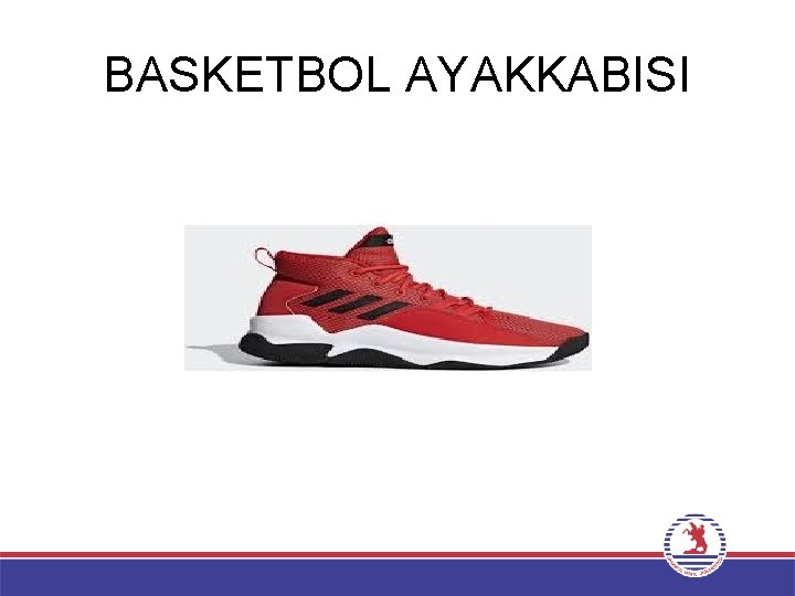 BASKETBOL AYAKKABISI 