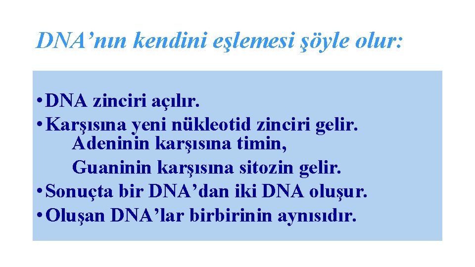 DNA’nın kendini eşlemesi şöyle olur: • DNA zinciri açılır. • Karşısına yeni nükleotid zinciri