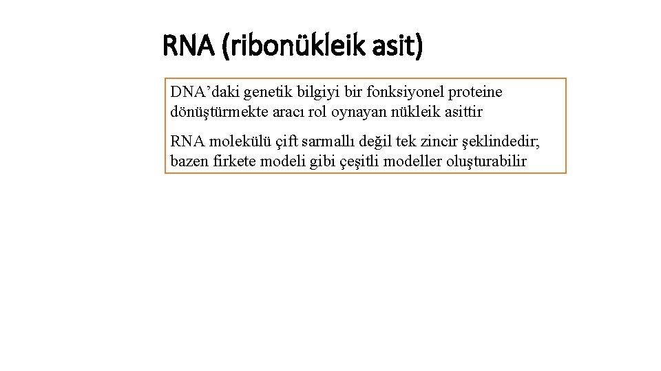 RNA (ribonükleik asit) DNA’daki genetik bilgiyi bir fonksiyonel proteine dönüştürmekte aracı rol oynayan nükleik