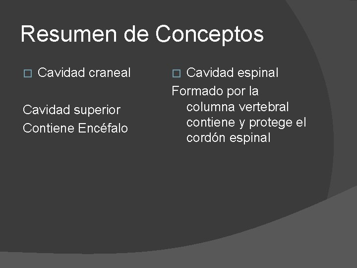 Resumen de Conceptos � Cavidad craneal Cavidad superior Contiene Encéfalo Cavidad espinal Formado por