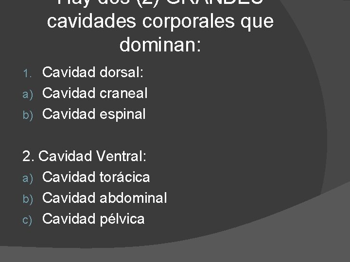 Hay dos (2) GRANDES cavidades corporales que dominan: Cavidad dorsal: a) Cavidad craneal b)