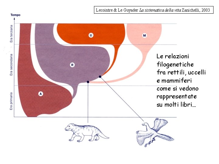 Lecointre & Le Guyader La sistematica della vita Zanichelli, 2003 Le relazioni filogenetiche fra