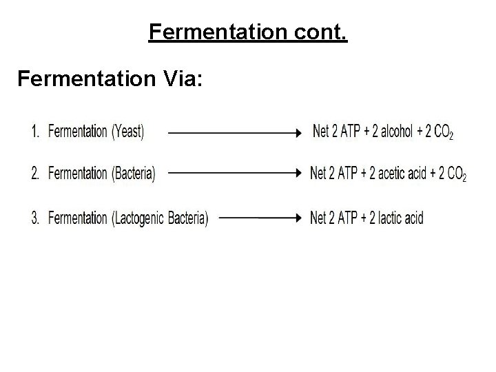 Fermentation cont. Fermentation Via: 