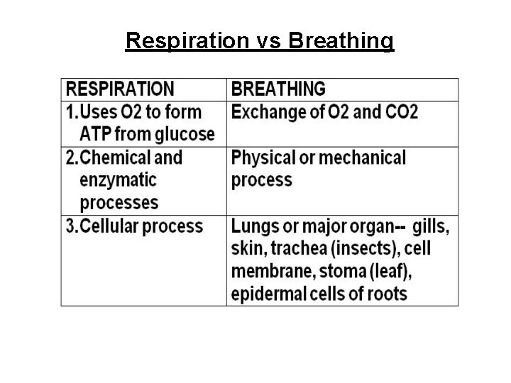Respiration vs Breathing 