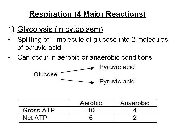 Respiration (4 Major Reactions) 1) Glycolysis (in cytoplasm) • • Splitting of 1 molecule