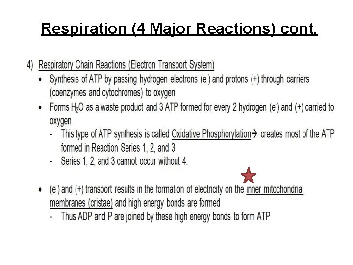 Respiration (4 Major Reactions) cont. 