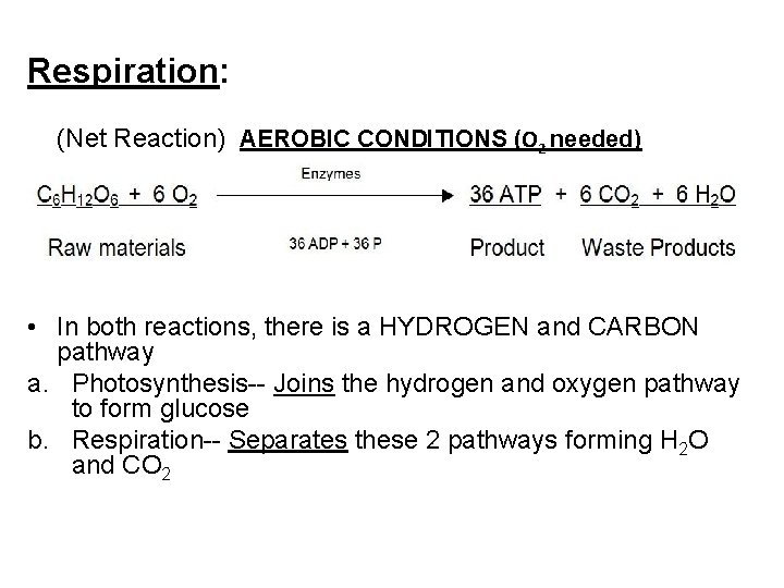 Respiration: (Net Reaction) AEROBIC CONDITIONS (O 2 needed) • In both reactions, there is