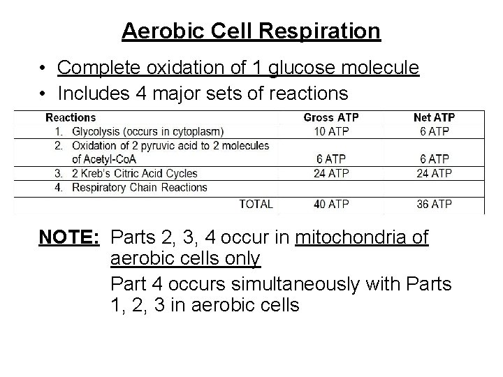 Aerobic Cell Respiration • Complete oxidation of 1 glucose molecule • Includes 4 major