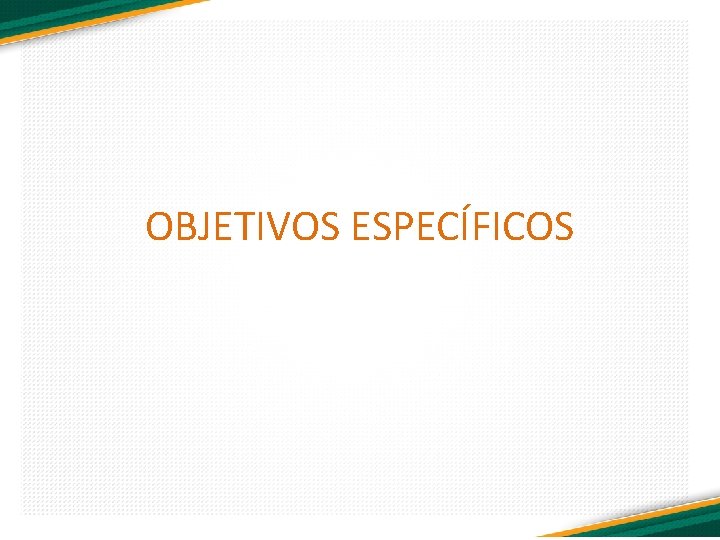 OBJETIVOS ESPECÍFICOS 