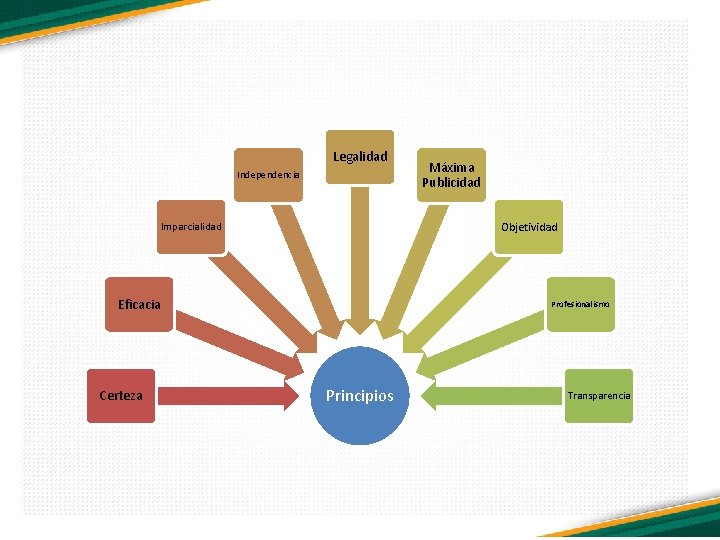 Legalidad Independencia Objetividad Imparcialidad Eficacia Certeza Máxima Publicidad Profesionalismo Principios Transparencia 