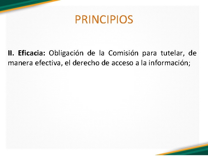 PRINCIPIOS II. Eficacia: Obligación de la Comisión para tutelar, de manera efectiva, el derecho