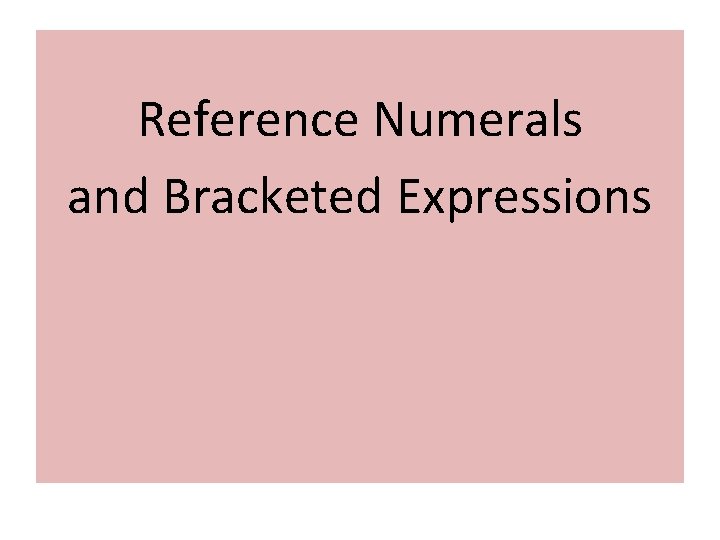 Reference Numerals and Bracketed Expressions 