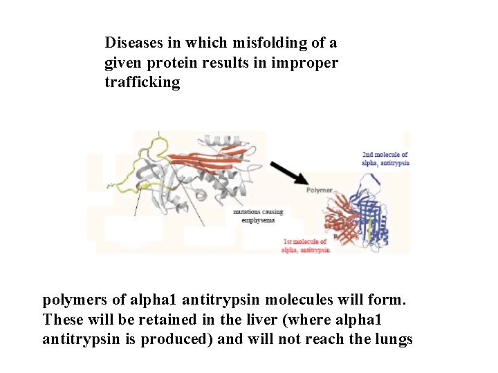 Diseases in which misfolding of a given protein results in improper trafficking polymers of