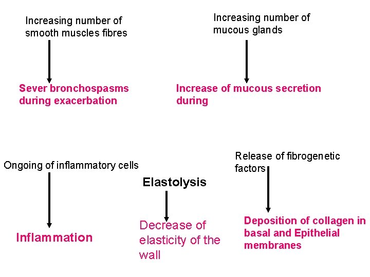 Increasing number of mucous glands Increasing number of smooth muscles fibres Sever bronchospasms during
