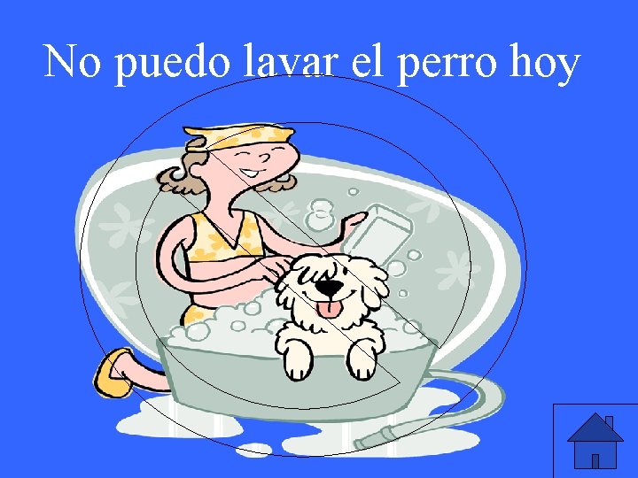 No puedo lavar el perro hoy 
