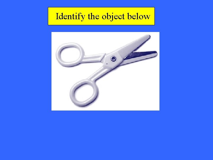 Identify the object below 