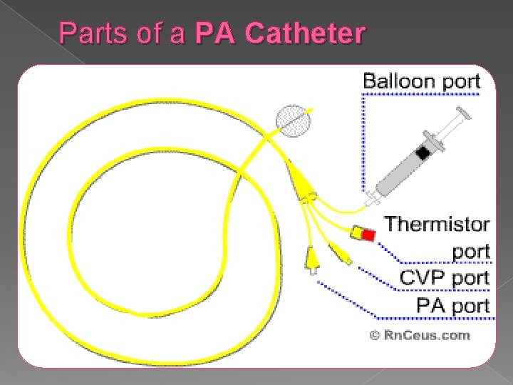 Parts of a PA Catheter 