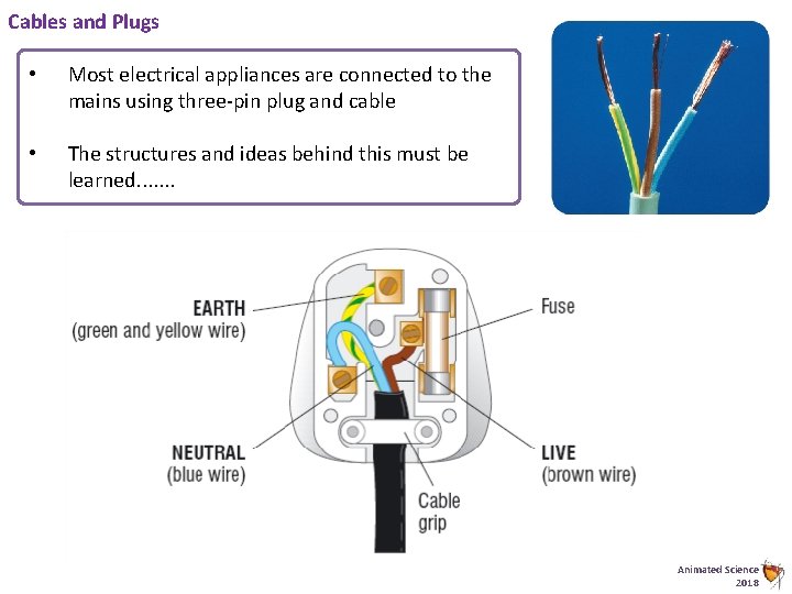 Cables and Plugs • Most electrical appliances are connected to the mains using three-pin