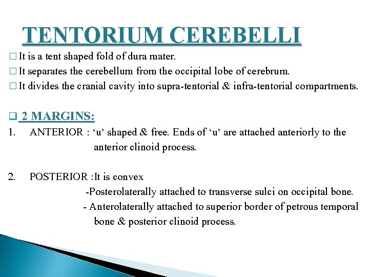 TENTORIUM CEREBELLI � It is a tent shaped fold of dura mater. � It