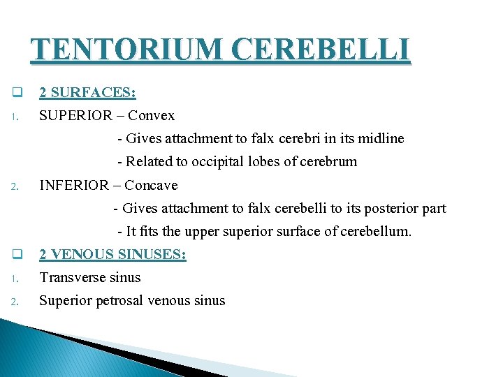 TENTORIUM CEREBELLI q 1. 2. q 1. 2. 2 SURFACES: SUPERIOR – Convex -