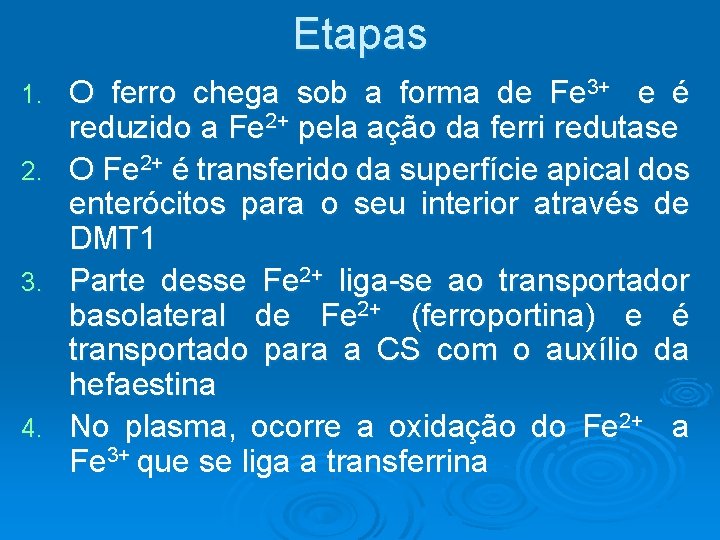 Etapas 1. 2. 3. 4. O ferro chega sob a forma de Fe 3+