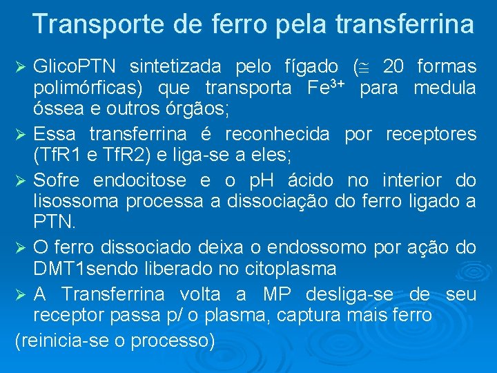 Transporte de ferro pela transferrina Glico. PTN sintetizada pelo fígado ( 20 formas polimórficas)