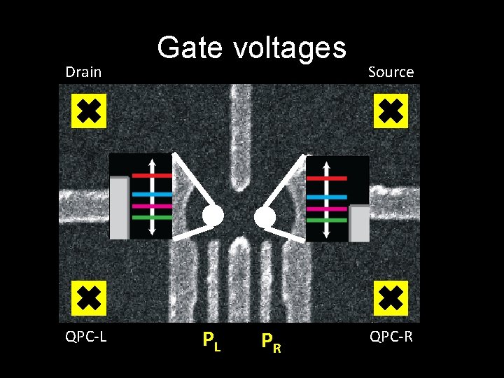 Drain QPC-L Gate voltages PL PR Source QPC-R 