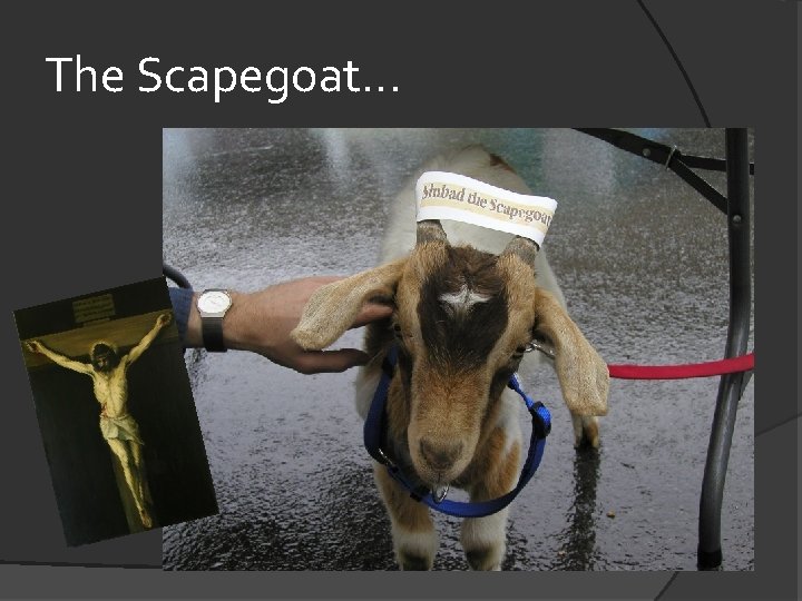 The Scapegoat. . . 