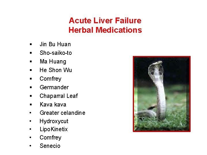Acute Liver Failure Herbal Medications § § § § • • • Jin Bu