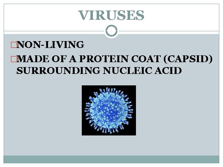 VIRUSES �NON-LIVING �MADE OF A PROTEIN COAT (CAPSID) SURROUNDING NUCLEIC ACID 