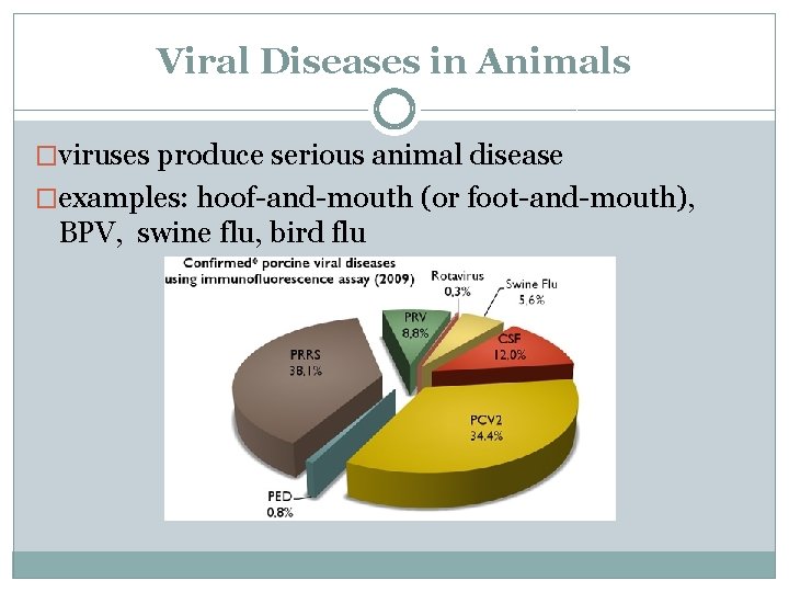 Viral Diseases in Animals �viruses produce serious animal disease �examples: hoof-and-mouth (or foot-and-mouth), BPV,