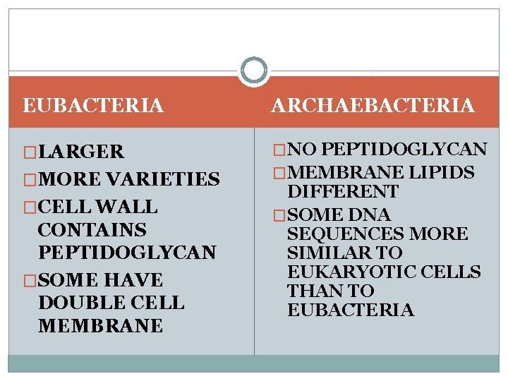 EUBACTERIA ARCHAEBACTERIA �LARGER �NO PEPTIDOGLYCAN �MORE VARIETIES �CELL WALL CONTAINS PEPTIDOGLYCAN �SOME HAVE DOUBLE