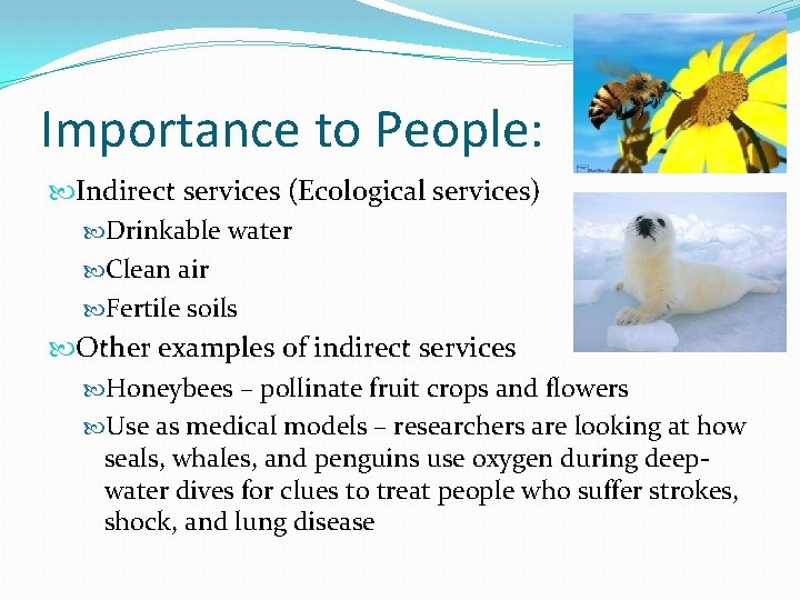Importance to People: Indirect services (Ecological services) Drinkable water Clean air Fertile soils Other