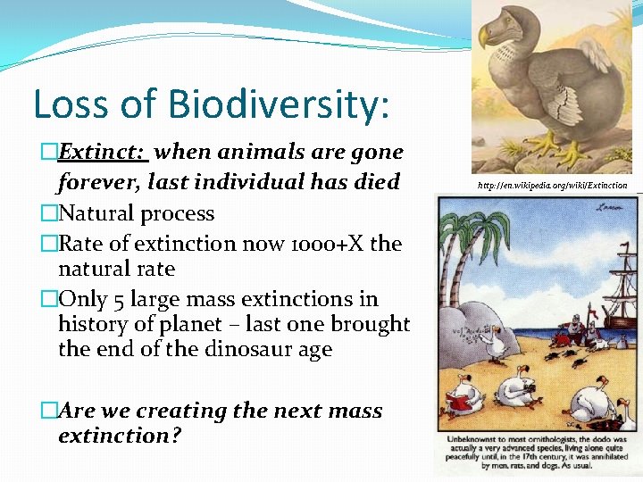 Loss of Biodiversity: �Extinct: when animals are gone forever, last individual has died �Natural