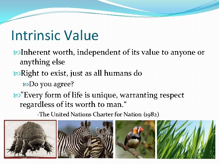 Intrinsic Value Inherent worth, independent of its value to anyone or anything else Right