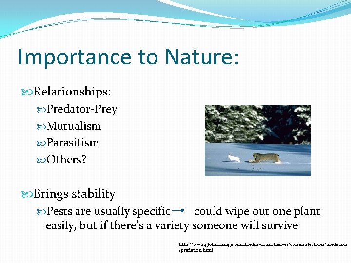 Importance to Nature: Relationships: Predator-Prey Mutualism Parasitism Others? Brings stability Pests are usually specific