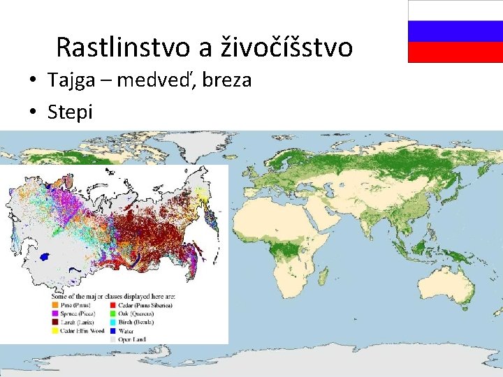 Rastlinstvo a živočíšstvo • Tajga – medveď, breza • Stepi 