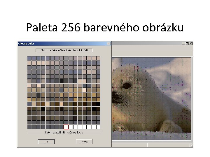 Paleta 256 barevného obrázku 