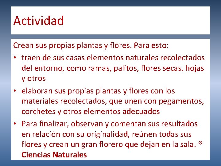 Actividad Crean sus propias plantas y flores. Para esto: • traen de sus casas