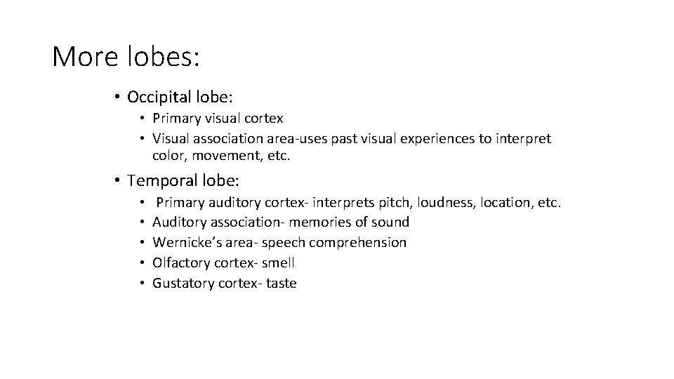 More lobes: • Occipital lobe: • Primary visual cortex • Visual association area-uses past