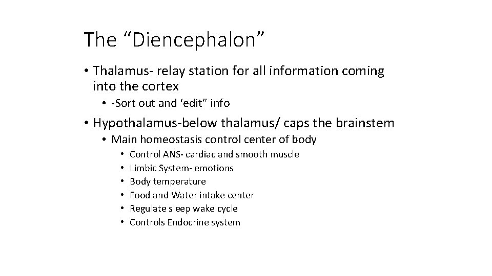 The “Diencephalon” • Thalamus- relay station for all information coming into the cortex •