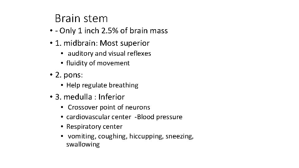 Brain stem • - Only 1 inch 2. 5% of brain mass • 1.