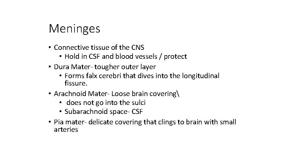 Meninges • Connective tissue of the CNS • Hold in CSF and blood vessels