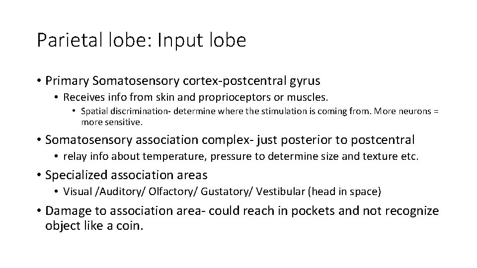 Parietal lobe: Input lobe • Primary Somatosensory cortex-postcentral gyrus • Receives info from skin